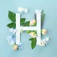 h alphabet images